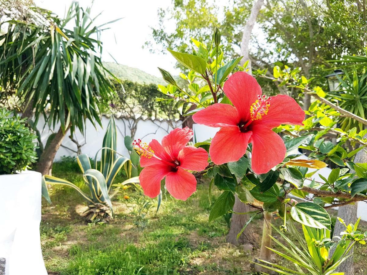 Villa Del Sogno Паргелия Екстериор снимка